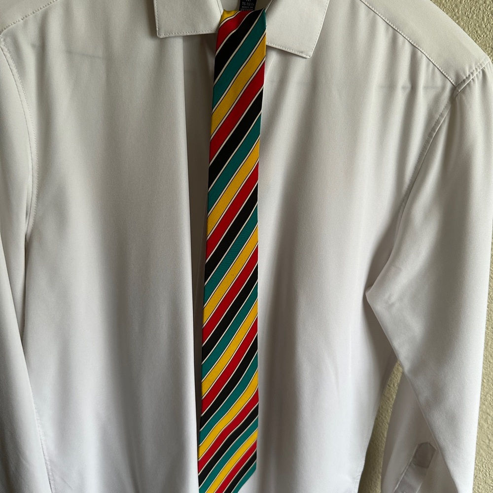 Multicolor Vintage Striped Tie